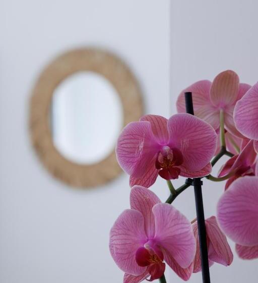 Bed and Breakfast Essentia Rooms & Relax