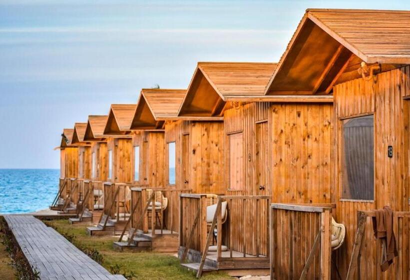 هتل Safy Bay Resort & Beach