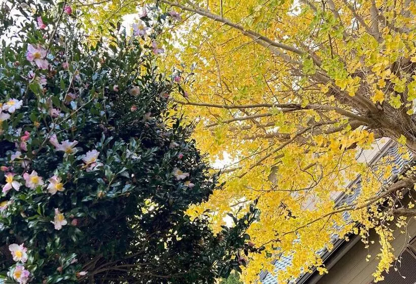 ペンション Guesthouse & Sauna 杜（mori）