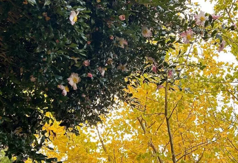 ペンション Guesthouse & Sauna 杜（mori）