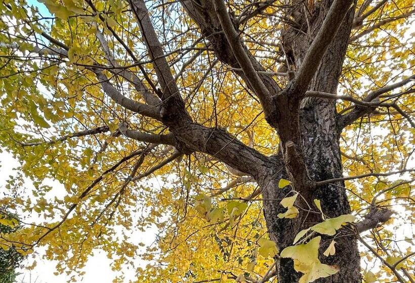 Pensão Guesthouse & Sauna 杜(mori)