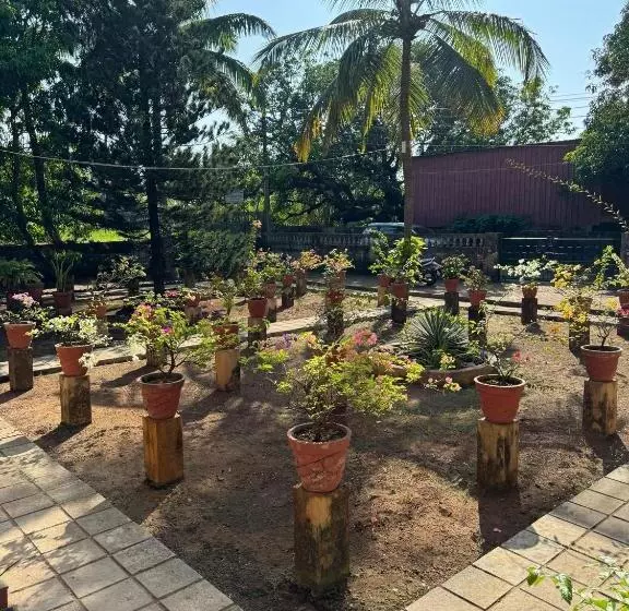 Auberge Villa Sol Beach Resort