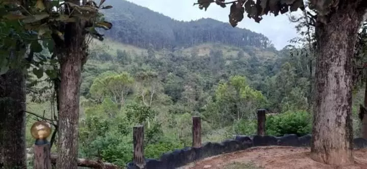 Aamiaismajoitus (B&B) Ceylon Rich Leaves Ella