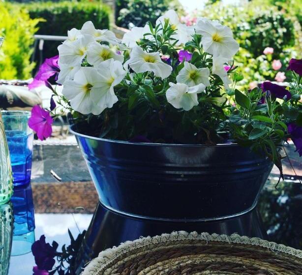 مبيت وإفطار Maison Des Glycines