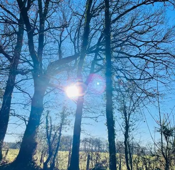 Aamiaismajoitus (B&B) Maison Des Glycines