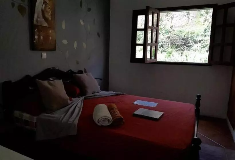 Divin Art B&b