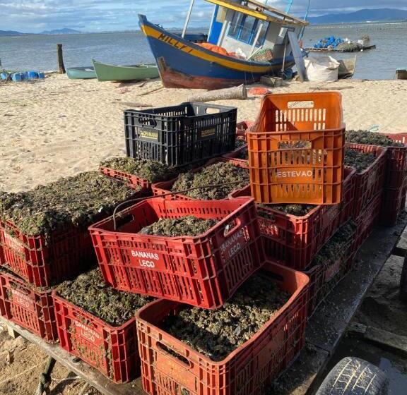 Hostel Praia De Fora Lu