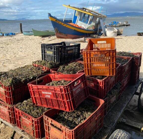 Hostel Praia De Fora Lu