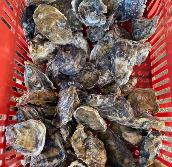 Hostel Praia De Fora Lu