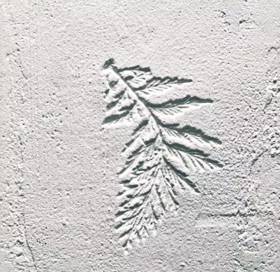 Hotelli Hôtel Candide