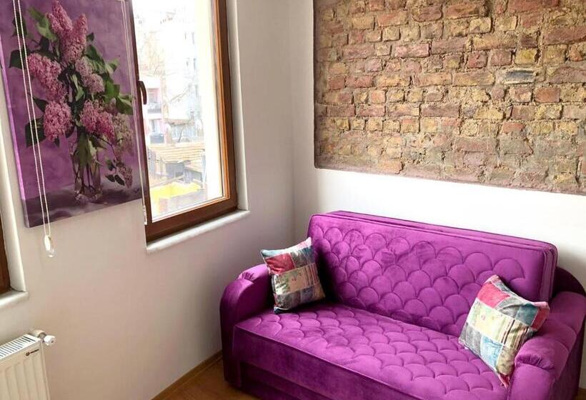 هتل Istanberry Dream Apartments