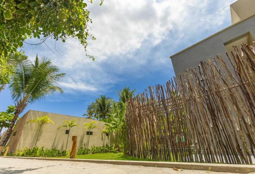 בית מלון כפרי Pousada Mirai