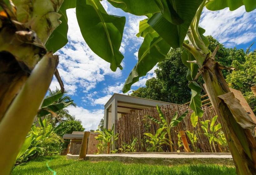 בית מלון כפרי Pousada Mirai