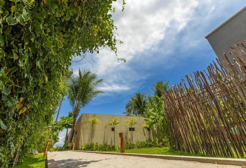 בית מלון כפרי Pousada Mirai