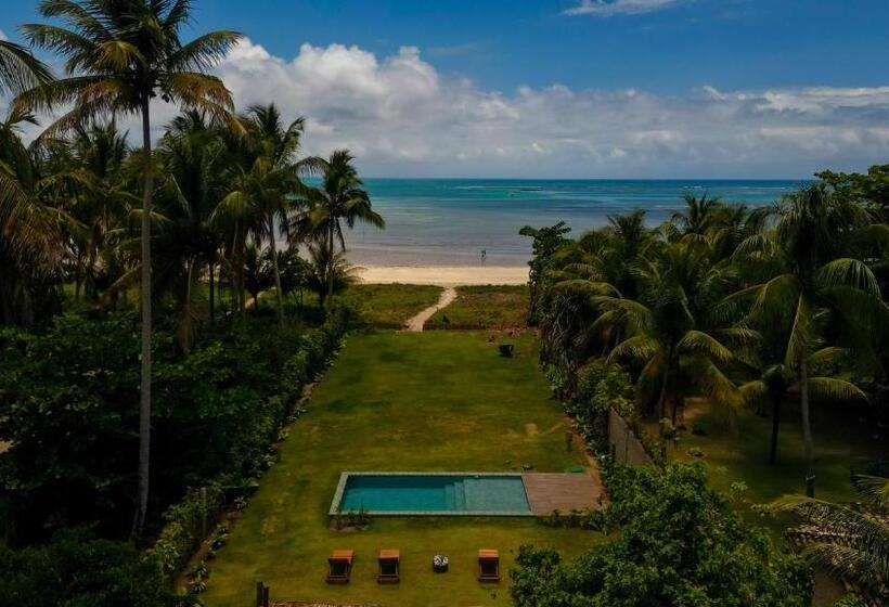 בית מלון כפרי Pousada Mirai