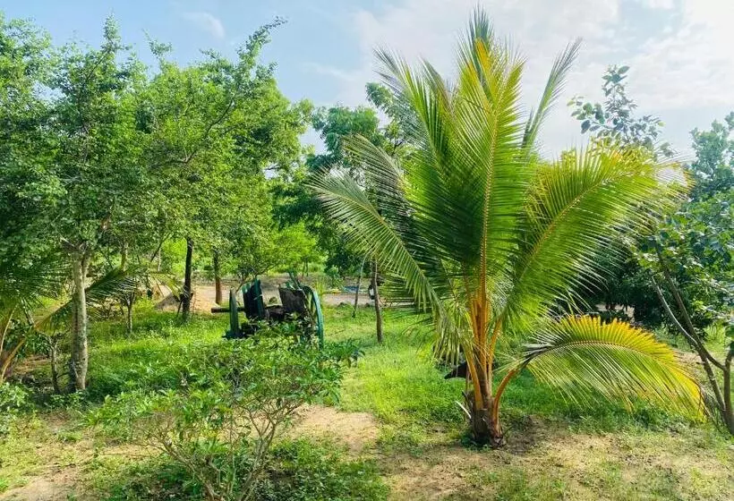 ホテル Yogi Organic Farm