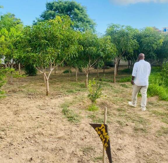 فندق Yogi Organic Farm