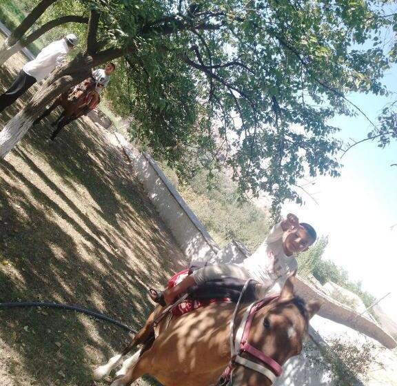 Pensionat Damirbek Davronov Guest House