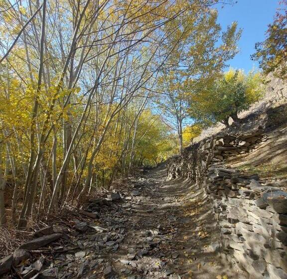 Pensionat Damirbek Davronov Guest House