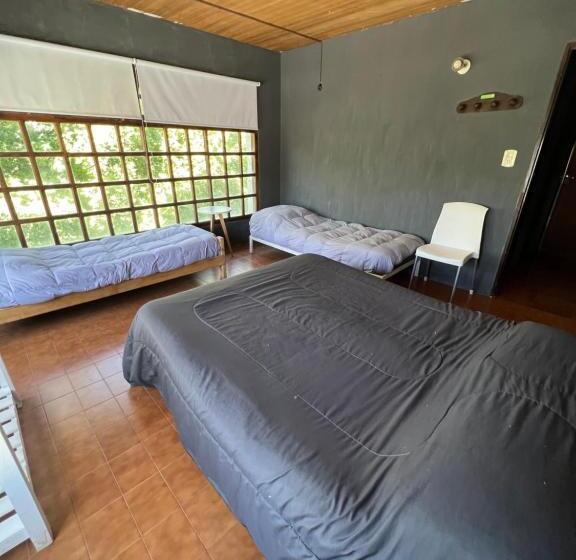 پانسیون Hostel Pehuenia