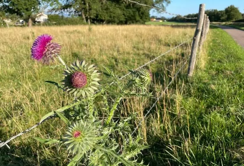ペンション La Grange Aux Hirondelles   Appartement Complet Et Indépendant