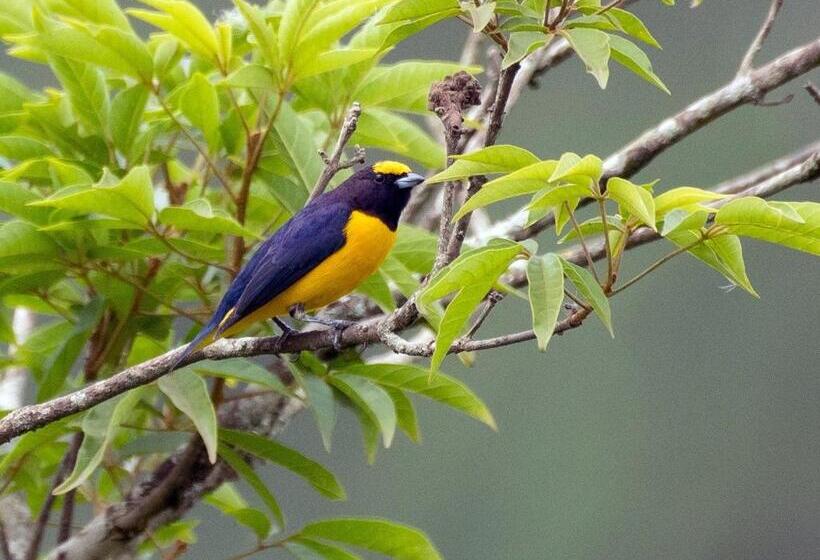 استراحتگاه Land Of Promise