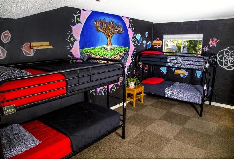 ホテル Drifter Jack's Hostel