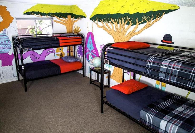 ホテル Drifter Jack's Hostel