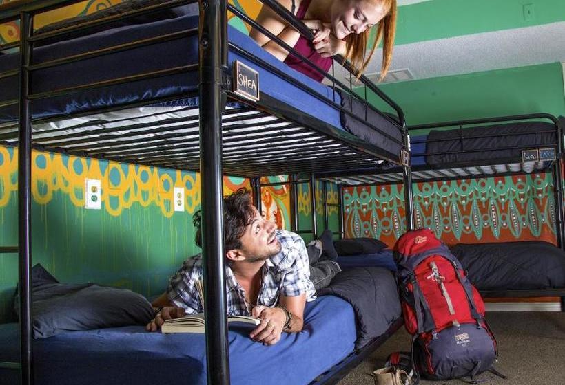 ホテル Drifter Jack's Hostel