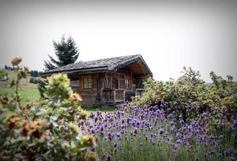 Hotelli Hôtel Le Manoir Des Montagnes