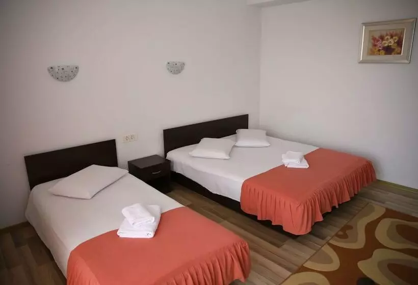Hotelli Pensiunea Zbor