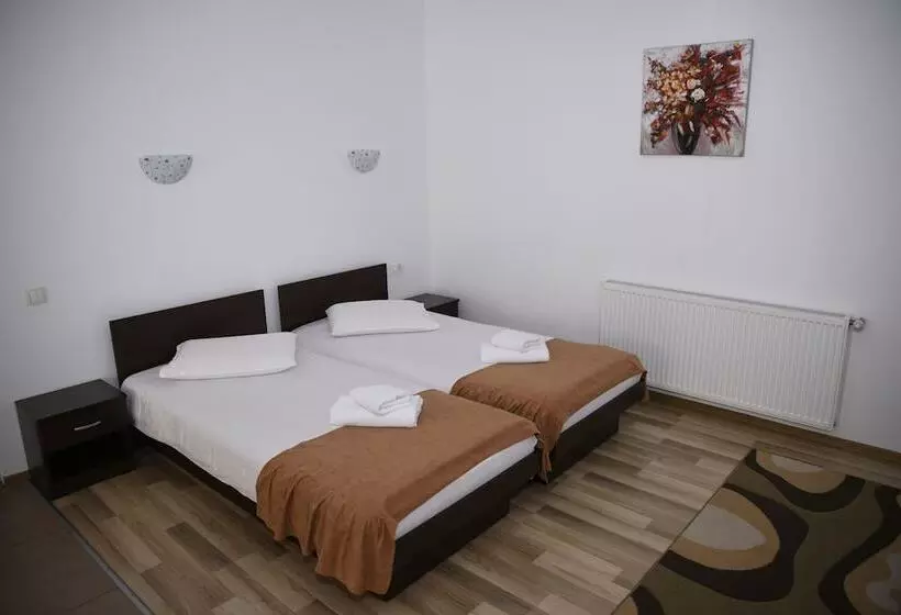 Hotelli Pensiunea Zbor