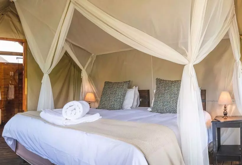 هتل Shindzela Tented Safari Camp