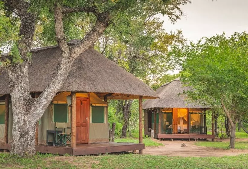 هتل Shindzela Tented Safari Camp