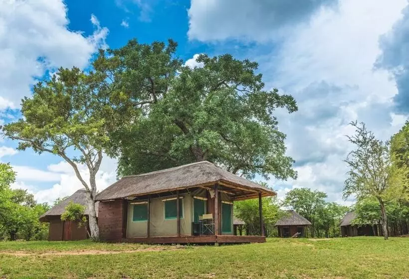 هتل Shindzela Tented Safari Camp