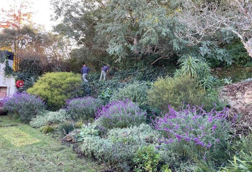 فندق Sugarbird Manor