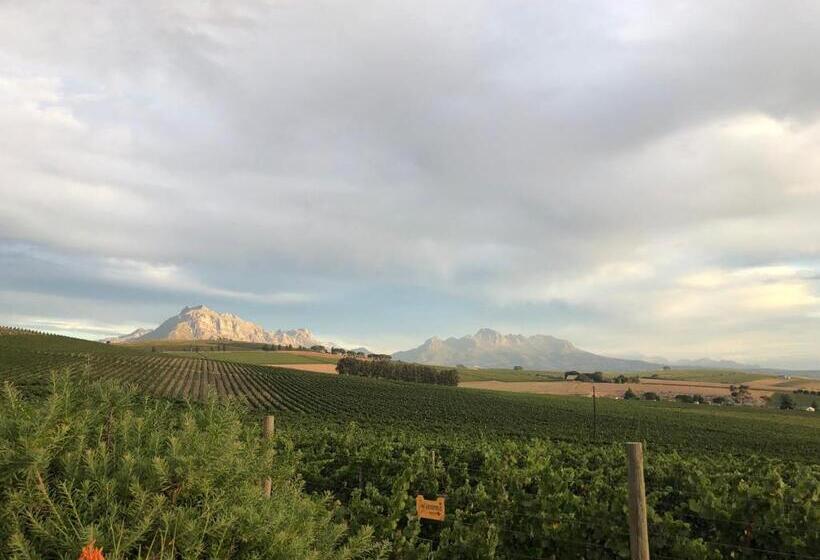 فندق Sugarbird Manor