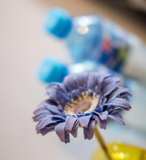 בית מלון כפרי Vigo