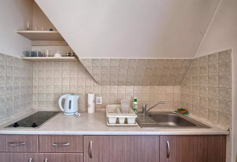 هتل Visitzakopane City Apartments