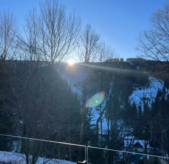 Avenue Chalet
