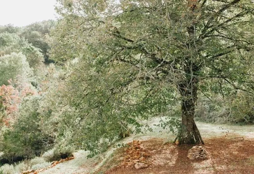 Aamiaismajoitus (B&B) Maison Cistus   Maison D Hôtes De Charme   Suites Et Gîte Avec Terrasses Privées   Proche De Sarlat