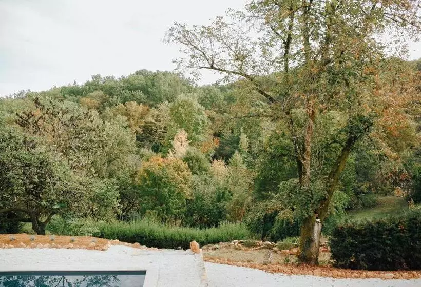 Aamiaismajoitus (B&B) Maison Cistus   Maison D Hôtes De Charme   Suites Et Gîte Avec Terrasses Privées   Proche De Sarlat