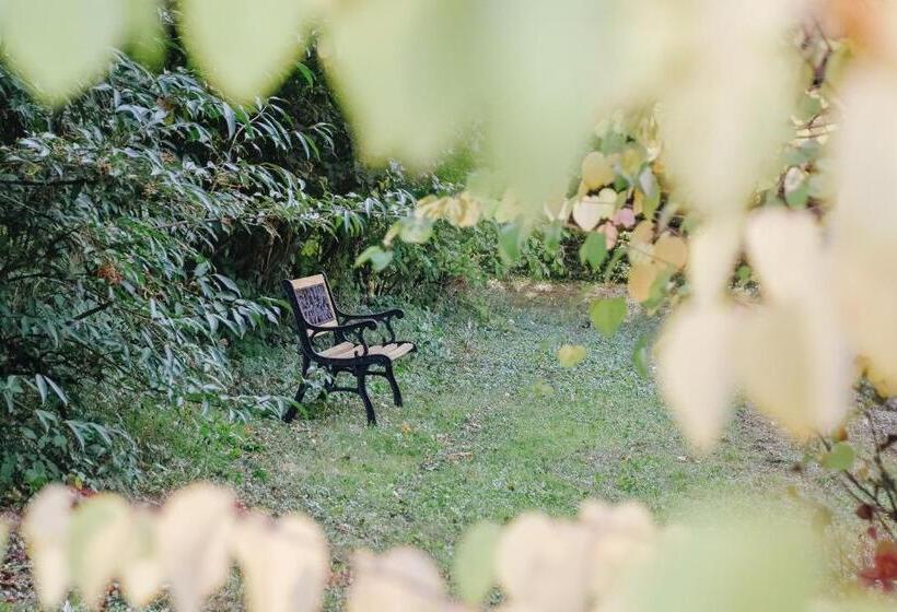 مبيت وإفطار Maison Cistus Maison D Hôtes De Charme Suites Et Gîte Avec Terrasses Privées Proche De Sarlat