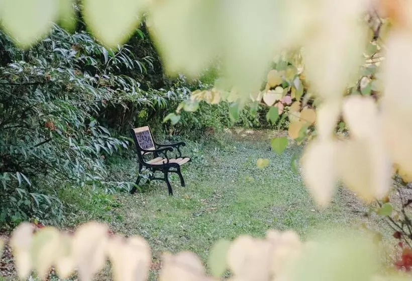 Aamiaismajoitus (B&B) Maison Cistus   Maison D Hôtes De Charme   Suites Et Gîte Avec Terrasses Privées   Proche De Sarlat