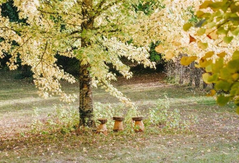 مبيت وإفطار Maison Cistus Maison D Hôtes De Charme Suites Et Gîte Avec Terrasses Privées Proche De Sarlat