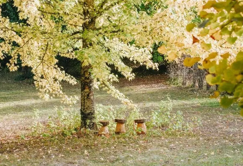 Aamiaismajoitus (B&B) Maison Cistus   Maison D Hôtes De Charme   Suites Et Gîte Avec Terrasses Privées   Proche De Sarlat