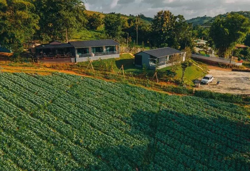 ภูกระทิง เขาค้อ By Gustavia