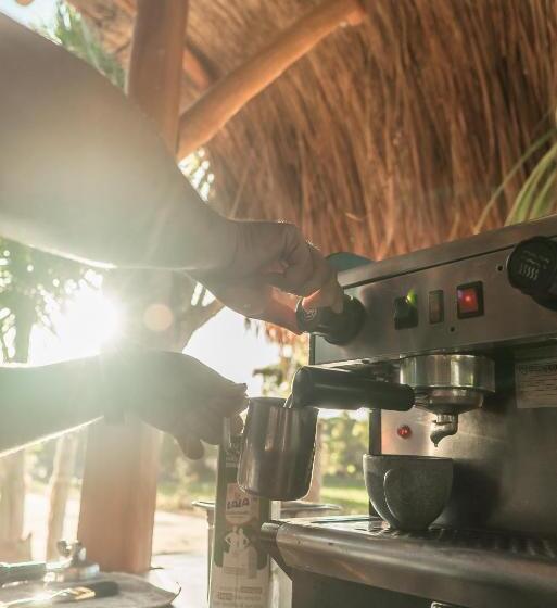 Hotel Xcalak Paradise