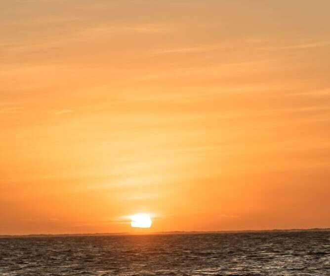 Hotel Xcalak Paradise