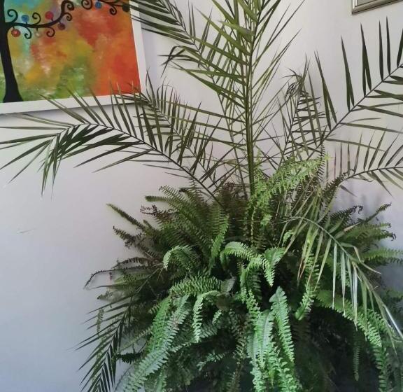 膳宿费 бутик хотел ресторант брасери и релакс зона сажитариус